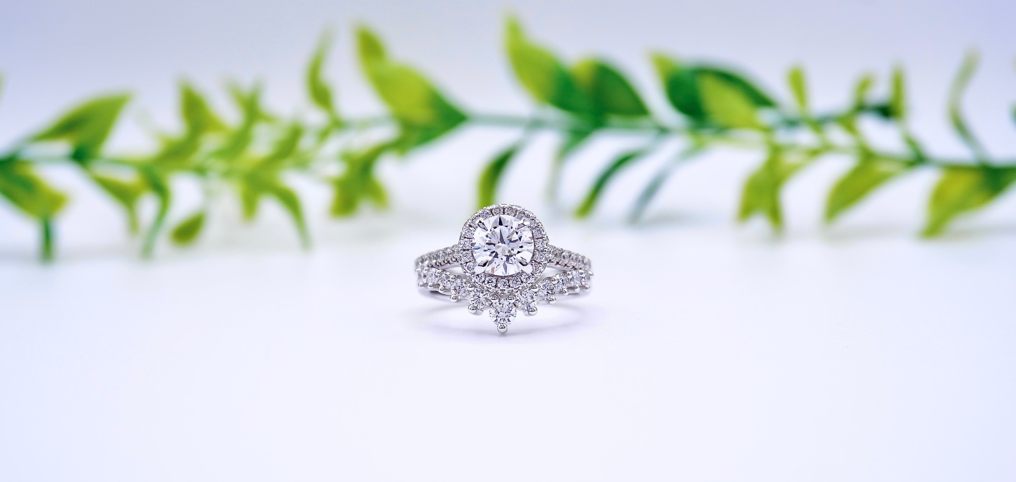 Why Diamond Engagement Rings Will Always Be Timeless Lucce