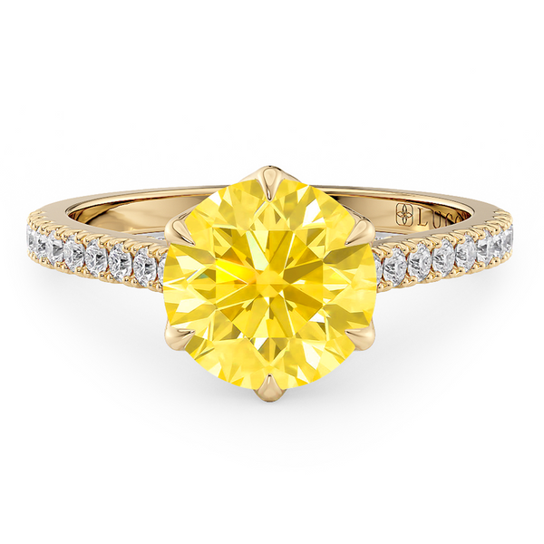 Lucce Azalea Pavé Round Sunburst Yellow Diamond