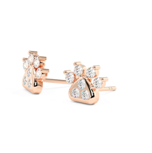 Load image into Gallery viewer, Lucce Zampa Earrings Diamond