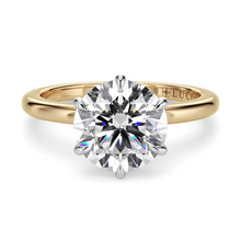 Load image into Gallery viewer, LUCCE VERONA™ Round Diamond