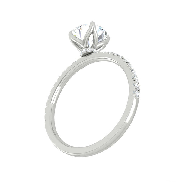 Lucia Halo Pave Round Platinum