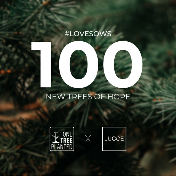 #LoveSows - December Updates