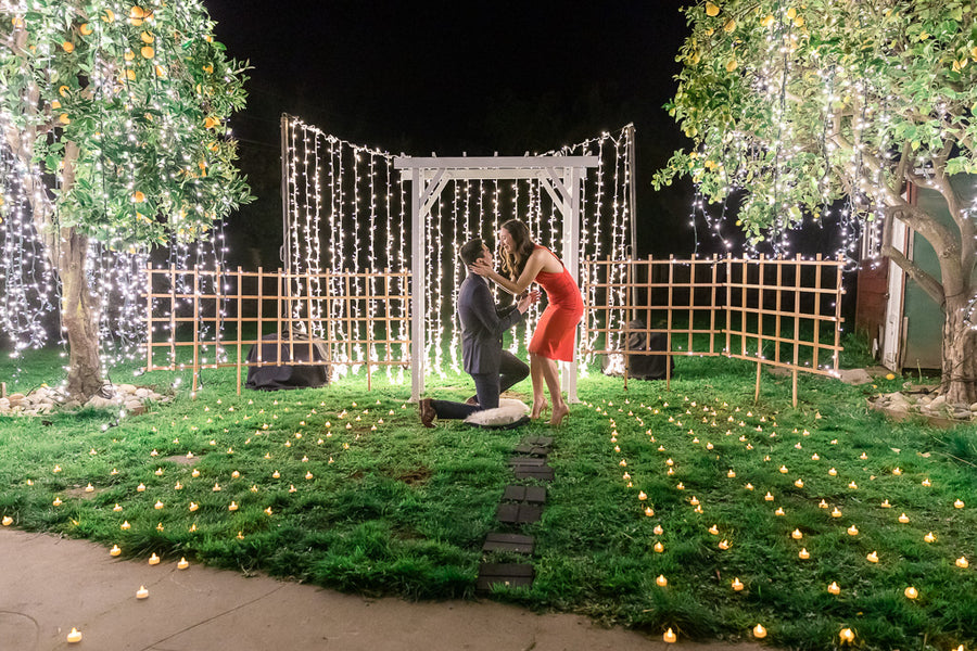 Top 5 Things Not to Forget When Planning a Proposal