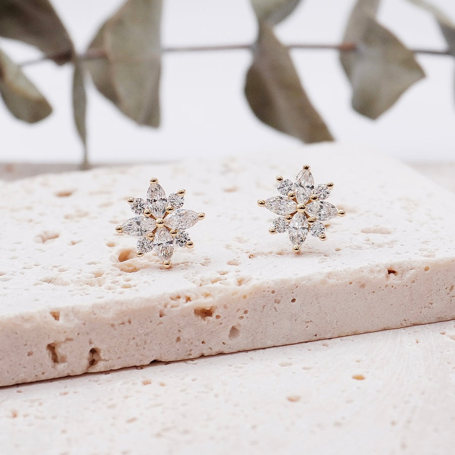Load image into Gallery viewer, LUCCE CONSTANCE™ Si Earrings Diamond
